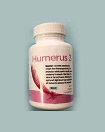 Humerus 3